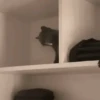 SÓ FOFURA ❤️ 13
