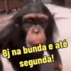 "Macaquin" boladão kkk 8