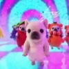 Pibble 🐶 | Perrito Tiktok  18