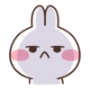 🫘•Bunny•🫘 7