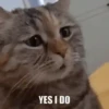 😅 Memes Random 25 M 14