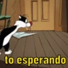 Memes de respostas 5