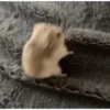 Funny Memes 🐾 7
