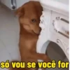 só vou se você for