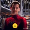 Spiderman 21