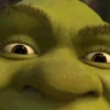 Shrek Time🟢✨ 5
