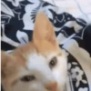 GIFs Amorzinho 3 🫶🏻 13
