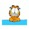 Garfield  17