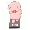 Pig babi 17