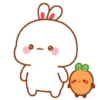 Rabbit🐰 14