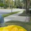 Entrega de flores amarillas 🌻 25