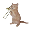Gatos engraçados 😹 7