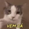 VEM CÁ