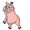 Pig babi 14