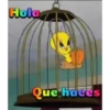 Piolin 2.0 13
