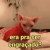 era pra ser engraçado?
