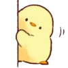 🐥 Pollito🐥 17