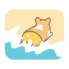 Summer Corgi 19