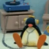 Pinguzinho 🐧🐧 14