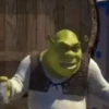 Shrek Time🟢✨ 14