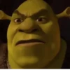 Shrek Time🟢✨ 9