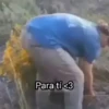 Entrega de flores amarillas 🌻 17