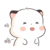 Little cute fatty cat 16