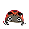 Catarina 1 🐞 7