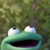 🦎 Tom Lizard 🦎 Animados 27