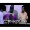 Brahmi 29