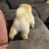 Random Reaction 7