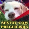 SEXTOU COM PREGUICINHA