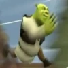 Shrek Time🟢✨ 11