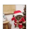 Quem é você no NATAL? 9
