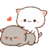 Mew mew 1 11