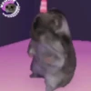 Dançando  6