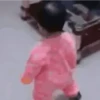 REAÇÕES ANIMADAS 13