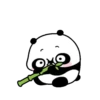 Cute Panda 🐾✨🐼 15