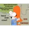 BUONANOTTE BUONGIORNO  5