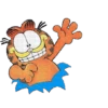 Garfield  9