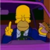 Os Simpsons 25
