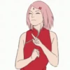 Naruto 29