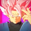 Goku Black 12