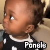 Ponele