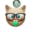 PALMEIRAS  14