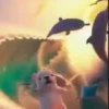 Pibble 🐶 | Perrito Tiktok  8
