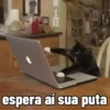 espera aí sua puta