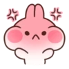 🫘•Bunny•🫘 11