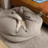 Gatos 8