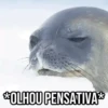 GIFs Pets Fofos Memes 🐾 11
